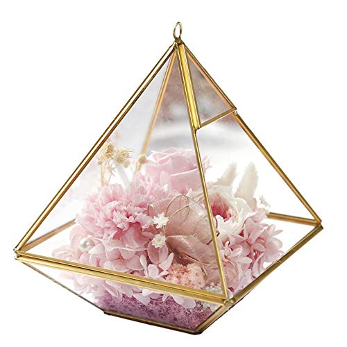 Allibuy-Festival Rosa eterna Invernadero de Cristal de joyería Cajas de Joyas Nunca marchitadas claveles Flores de Rose Regalo for el Día de la Madre símbolo significativo del Amor