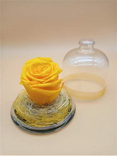 Almaflor Rosa eterna Amarilla en cúpula. Gratis TU ENVÍO. Rosas preservadas Amarillas con Tarjeta dedicatoria, Caja y Envoltorio para Regalo. Fabricado en España.
