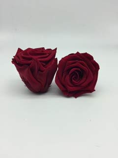 Almaflor Rosas eternas Rojas. Gratis TU ENVÍO. Caja de Rosas eternas Rojas (6 Unidades). Rosas preservadas, en Caja de conservación. Hecho en España.