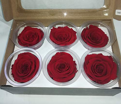 Almaflor Rosas eternas Rojas. Gratis TU ENVÍO. Caja de Rosas eternas Rojas (6 Unidades). Rosas preservadas, en Caja de conservación. Hecho en España.