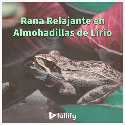 Almohadillas de lirio coloridas