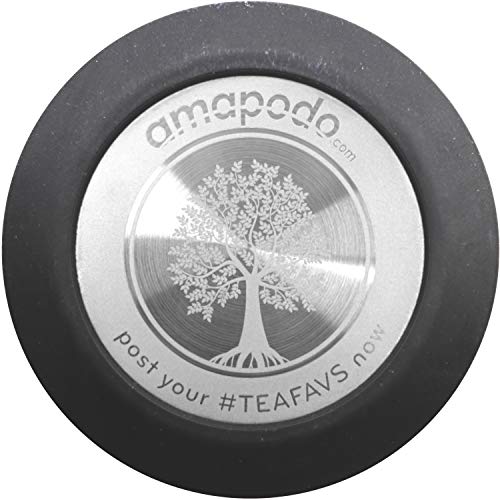 amapodo Tetera - botella de té de doble pared - filtro y tapa de acero inoxidable - cristal de diseño con filtro para té suelto