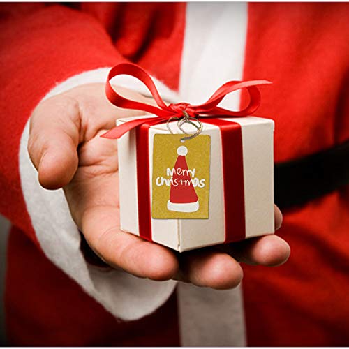 Amaza 100pcs Etiquetas de Papel Kraft Árbol de Navidad Gift Tags con Cerda de Yute Navidad Decoracion Arbol (5 Patrones)