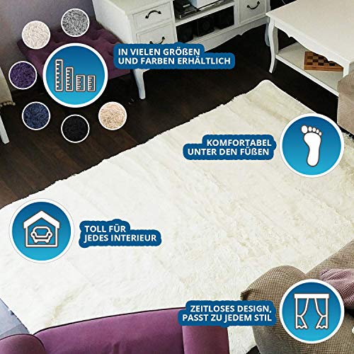 Amazinggirl alfombras Salon Grandes - Pelo Largo Alfombra habitación Dormitorio Lavables Comedor Moderna vivero Gris 160 x 230 cm