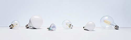 AmazonBasics Bombilla LED Globo E27, 14.5W (equivalente a 100W), Blanco Cálido, 2 unidades