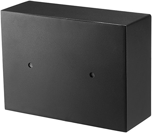 AmazonBasics - Caja de seguridad para cajón de escritorio