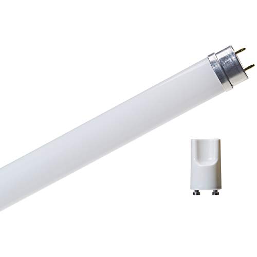 AmazonBasics Professional - Tubo LED T8 600 mm, 800 lúmenes, 8 W (equivalente a 18 W), blanco frío, 6500 K, G13 - juego de 2