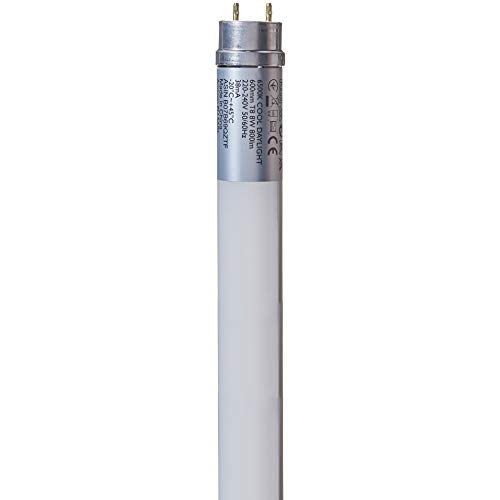 AmazonBasics Professional - Tubo LED T8 600 mm, 800 lúmenes, 8 W (equivalente a 18 W), blanco frío, 6500 K, G13 - juego de 2