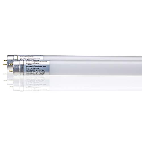 AmazonBasics Professional - Tubo LED T8 600 mm, 800 lúmenes, 8 W (equivalente a 18 W), blanco frío, 6500 K, G13 - juego de 2