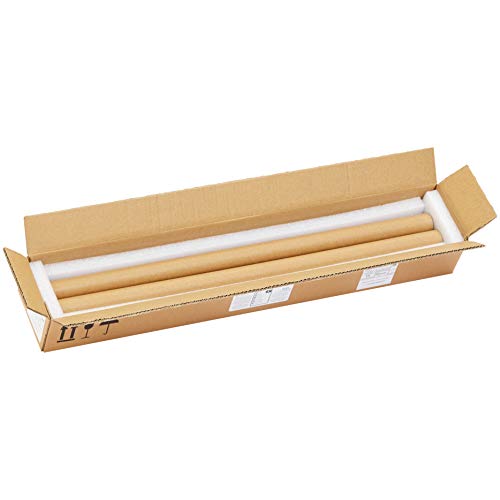 AmazonBasics Professional - Tubo LED T8 600 mm, 800 lúmenes, 8 W (equivalente a 18 W), blanco frío, 6500 K, G13 - juego de 2