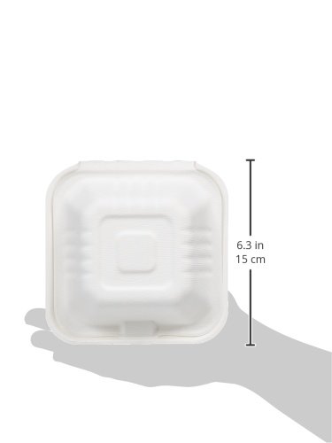 AmazonBasics - Recipientes de comida para llevar desechables, diseño de almeja, convertibles en abono ecológico y biodegradables, 15 x 15 x 8 cm, 125 unidades
