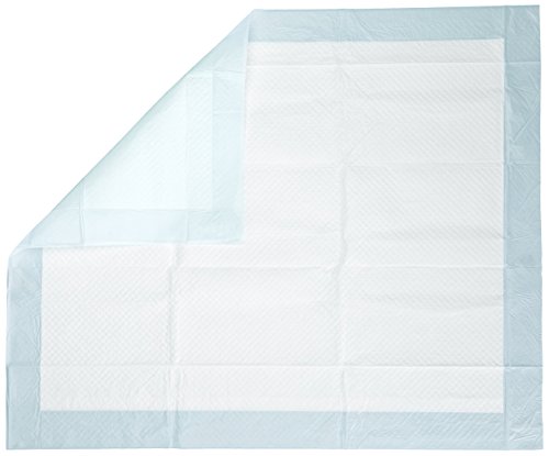 AmazonBasics - Toallitas de entrenamiento para mascotas (extragrande, 60 unidades)