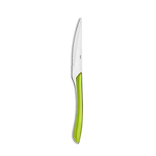 Amefa ECLAT - Cubertería (acero inoxidable, 24 piezas, para 6 personas, mango de plástico de alta calidad, apto para lavavajillas), color verde