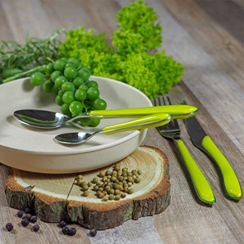 Amefa ECLAT - Cubertería (acero inoxidable, 24 piezas, para 6 personas, mango de plástico de alta calidad, apto para lavavajillas), color verde