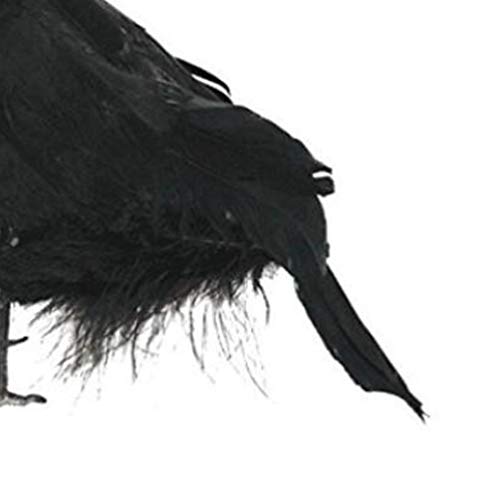 Amosfun 2pcs de Halloween Negro con Plumas de Gallo realistas Aves Cuervos apoyos perseguido Pantalla casa Cementerio lápida