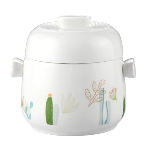 AMYZ Mini Olla de cerámica para estofado con Tapa,tazón de Sopa de Fideos rápidos,Taza humeante,Olla de Sopa,Cacerola de cerámica para el Dormitorio de la Oficina en casa,Apto para lavavajillas,m