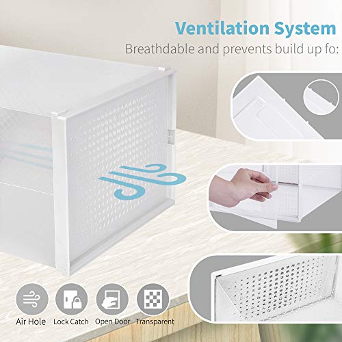 Amzdeal Cajas de Zapatos Plásticas 6 Pcs - Organizador de Zapatos Duradero y Apilable, 100% Impermeable, Caja de Almacenamiento Plegable, Más Ordenado, para Zapatos de Hombres y Mujeres 35*25*18.7cm