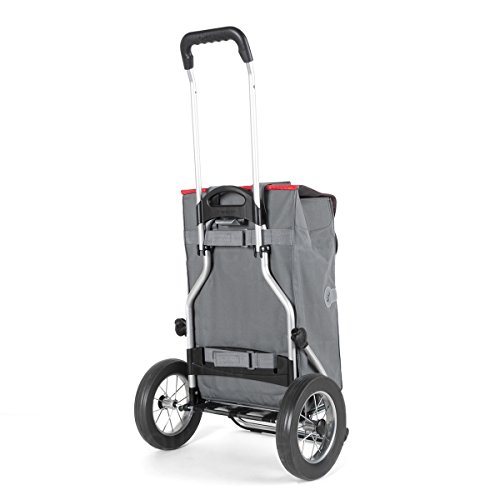 Andersen Carro de Compra Royal con Bolsa Wismar Gris, Volumen 45L, Bolsa termica y Marco de Aluminio