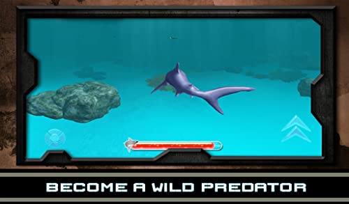 Angry Shark - Wild Attack