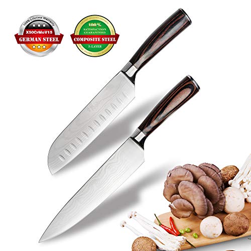 Anhichef Set de Cuchillos de Cocina, Cuchillos de Cocina Damasco Profesionales 20cm + Cuchillo Santoku Japones 18cm, Acero Inoxidable Alemán de Alto Carbono,Mango Ergonómico
