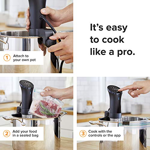 Anova Culinary | Sous Vide Precision Cooker (WiFi) | 1000 Vatios | Negro y Plata | App Anova incluida.
