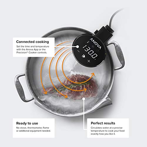Anova Culinary | Sous Vide Precision Cooker (WiFi) | 1000 Vatios | Negro y Plata | App Anova incluida.