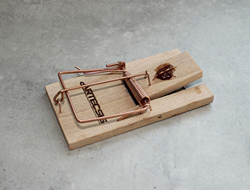 ARTECSIS Juego De Las 10 Ratoneras Maderas con Cebo, Trampas De Ratones, Gran Poder De Impacto, Gran Fuerza, Fácil manejo, Cazar Ratones Eficientemente