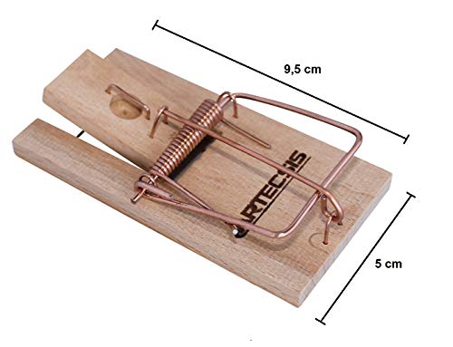 ARTECSIS Juego De Las 10 Ratoneras Maderas con Cebo, Trampas De Ratones, Gran Poder De Impacto, Gran Fuerza, Fácil manejo, Cazar Ratones Eficientemente