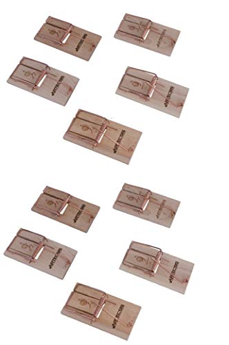 ARTECSIS Juego De Las 10 Ratoneras Maderas con Cebo, Trampas De Ratones, Gran Poder De Impacto, Gran Fuerza, Fácil manejo, Cazar Ratones Eficientemente
