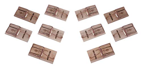 ARTECSIS Juego De Las 10 Ratoneras Maderas con Cebo, Trampas De Ratones, Gran Poder De Impacto, Gran Fuerza, Fácil manejo, Cazar Ratones Eficientemente