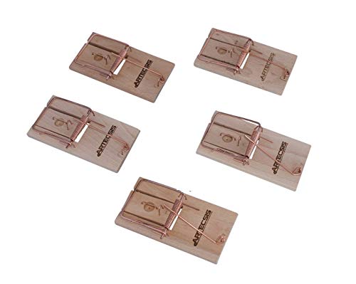 ARTECSIS Juego De Las 5 Ratoneras Maderas con Cebo, Trampas De Ratones, Gran Poder De Impacto, Gran Fuerza, Fácil manejo, Cazar Ratones Eficientemente