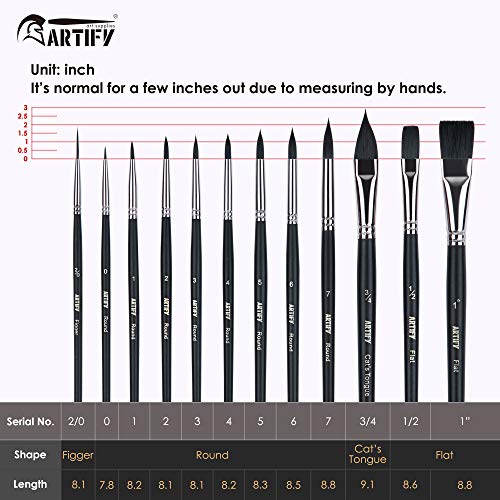 ARTIFY - Juego de 12 pinceles para acuarela, pinceles de nailon para el cabello para pintura al óleo y acrílica para principiantes y profesionales, pinceles para detalles, negro frío