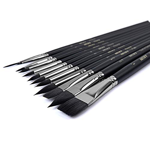 ARTIFY - Juego de 12 pinceles para acuarela, pinceles de nailon para el cabello para pintura al óleo y acrílica para principiantes y profesionales, pinceles para detalles, negro frío