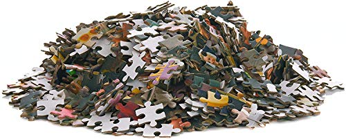 ATggqr Mini Puzzles de 1000 Piezas 50x75cm jardín Juego Intelectual para Adultos y niños Adolescentes Familia Educativa Intelectual Descompresión