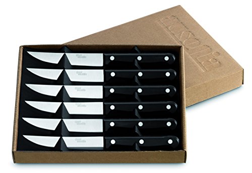 AUSONIA - 96521 Pack DE Regalo DE 6 Cuchillos para Carne BRIO con Hoja DE Acero Inoxidable Y Mangos DE PLÁSTICO NO TÓXICOS, SE Pueden Lavar SIN Problemas EN EL LAVAVAJILLAS