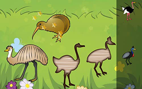 Aves juego para niños pequeños : Rompecabezas con las especies de aves ! Juegos educativos del rompecabezas - aplicación gratuita
