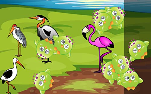 Aves juego para niños pequeños : Rompecabezas con las especies de aves ! Juegos educativos del rompecabezas - aplicación gratuita