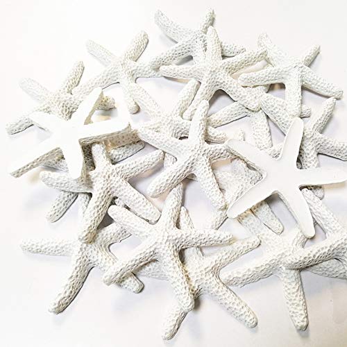 Aweisile 40 Piezas Estrellas De Mar Decoracion Dedo Estrellas de mar de Resina Estrella de mar Estrella mar decoración de Bodas para Decoración de Boda decoración del hogar proyectos de Manualidades