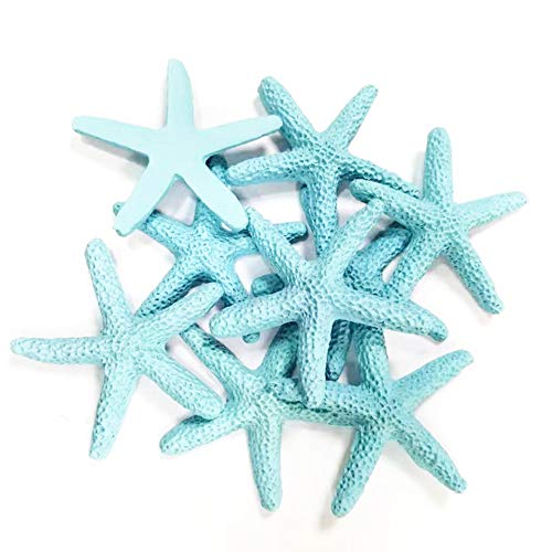 Aweisile 40 Piezas Estrellas De Mar Decoracion Dedo Estrellas de mar de Resina Estrella de mar Estrella mar decoración de Bodas para Decoración de Boda decoración del hogar proyectos de Manualidades