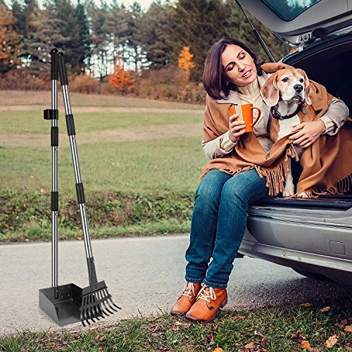 Bamda Juego de Metal Bandeja y Rastrillo para Caca de Mascotas con Mango Ergonómico Extra Largo Ajustable, Incluido - Pala