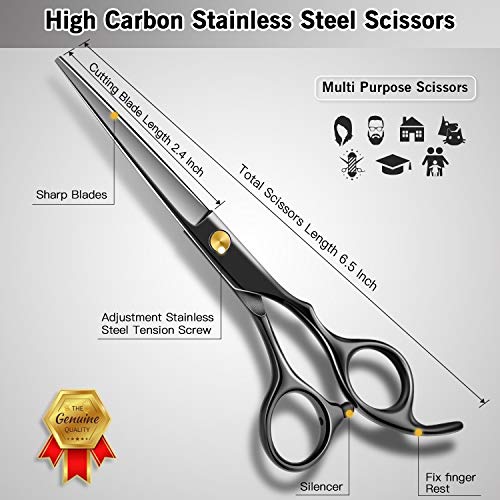 Bamoer Tijeras de Peluqueria Profesional Tijeras de Peluquero - Tijeras de Pelo de Acero Inoxidable para Corte Pelo 6.5 Pulgadas