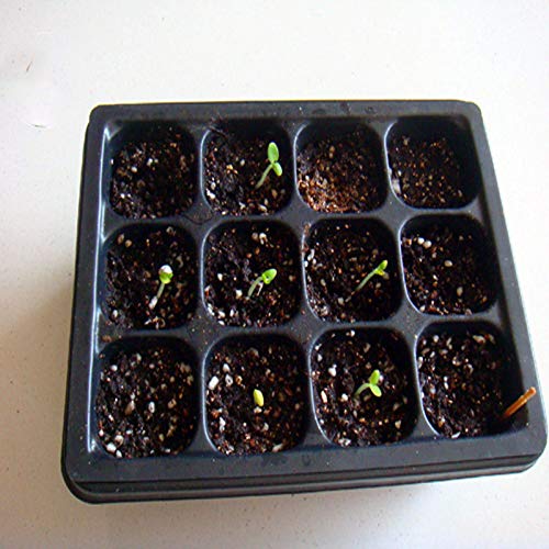 Bandejas de plántulas de germinación, 12 Celdas Hoyo vivero Planta de Marihuana Semillas Crecer Caja de Caja Insertar Propagación Semilla