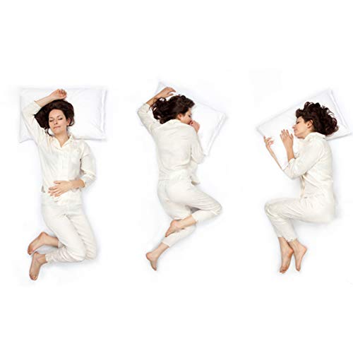 BedStory Almohadas Fibra Almohada de 42 x 70cm con Relleno 3D Fibra Mantiene la Forma Almohadas Antiácaros para de Cama Almohadas para Hoteles【Nueva Versión】 Pack de 2