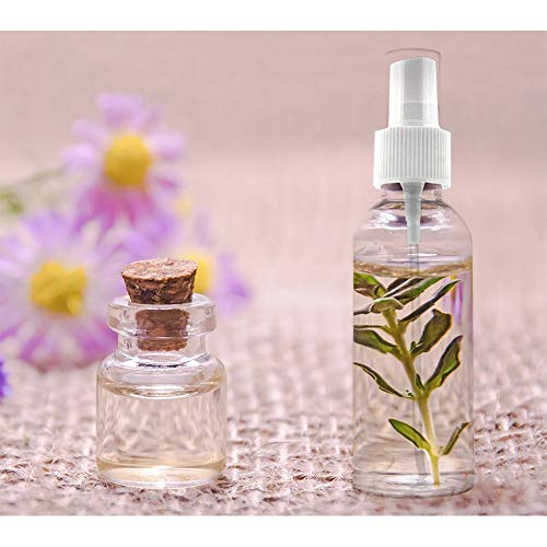 Beito 4pc Bote Spray Botella de Aerosol Vacío Plástico Transparente Niebla Fina Atomizador de Viaje Conjunto de Botellas (100 ML)