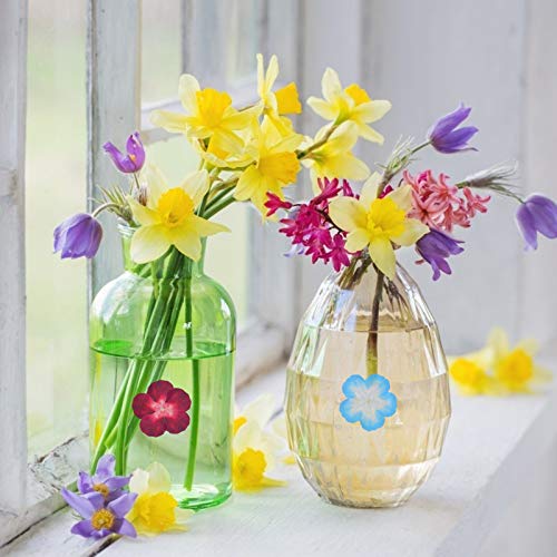 BELIOF Rollo Cinta Adhesiva Decorativa de Pétalos de Flores 6 Estilos Pegatinas de Pétalos de Flores Multicolores para Álbumes de Recortes Diario Bricolaje DIY Artesanía Cinta de Washi de Pétalos