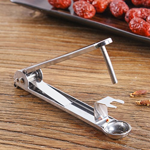 BESTONZON Deshuesador de Núcleo de Fruta Multifuncional de Acero Inoxidable para Cerezas Uvas Aceitunas Herramientas de Cocina para Deshuesar 14.5 x 1.8 x 3.5 cm