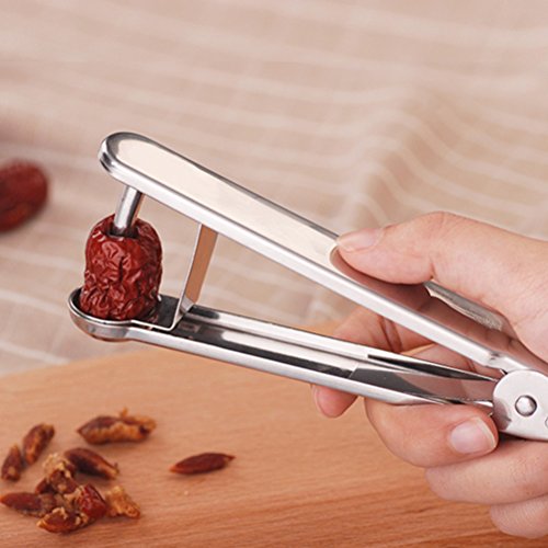 BESTONZON Deshuesador de Núcleo de Fruta Multifuncional de Acero Inoxidable para Cerezas Uvas Aceitunas Herramientas de Cocina para Deshuesar 14.5 x 1.8 x 3.5 cm