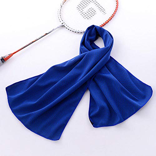 B/H Toalla de Hielo,Toalla Deportiva fría de Doble Capa Fitness Absorbente de Sudor enfriamiento Toalla Helada-I + H + E_30 * 90,Hielo Toalla