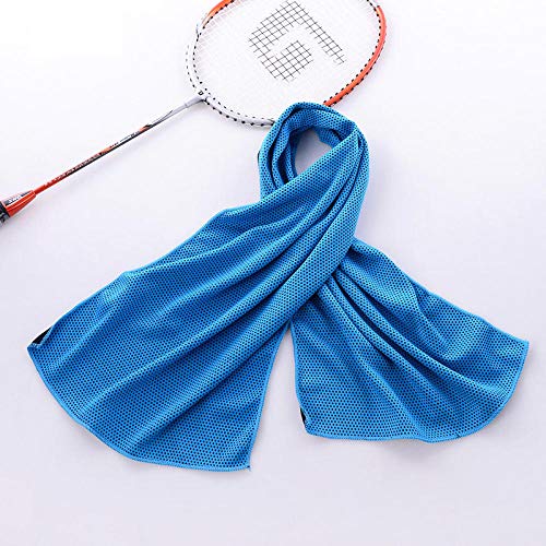B/H Toalla de Hielo,Toalla Deportiva fría de Doble Capa Fitness Absorbente de Sudor enfriamiento Toalla Helada-I + H + E_30 * 90,Hielo Toalla