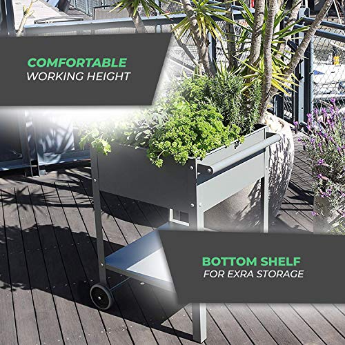 Bio Green Jardinera con Ruedas «Steinfurt», Antracita, 55 x 55 x 80 cm, MBW